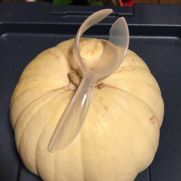 Tupperware Hard Boiled Egg Lifter Scoop Clear Color (1 PIECE) - Picture 6 of 8